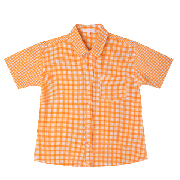 Boys Shirt Mini Check