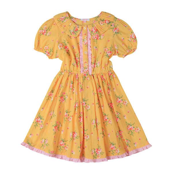 Poeme Dress Pretty Posie