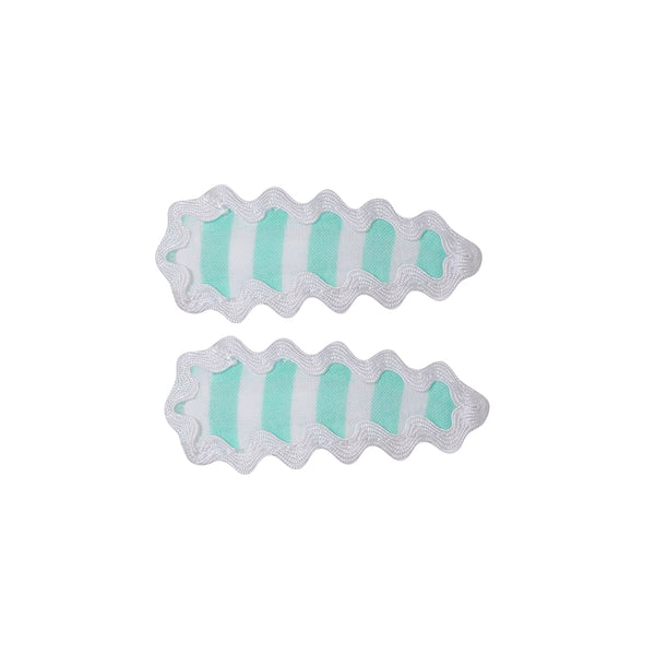 Hair Clip Set 2pc