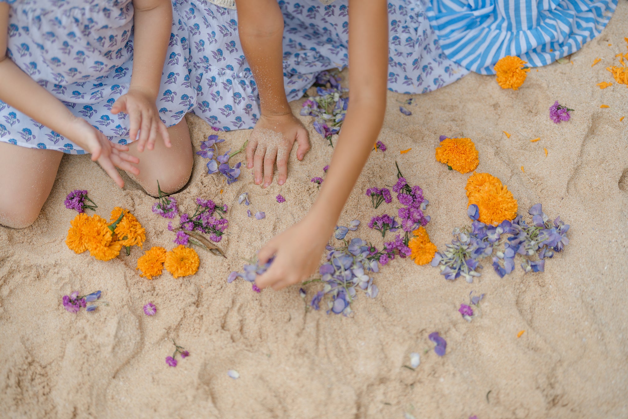 Sunny Seaside Days